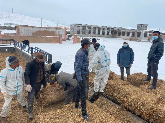 瑪多縣扎陵湖鄉積極為民排憂(yōu)解難 拉運飼料溫暖人心