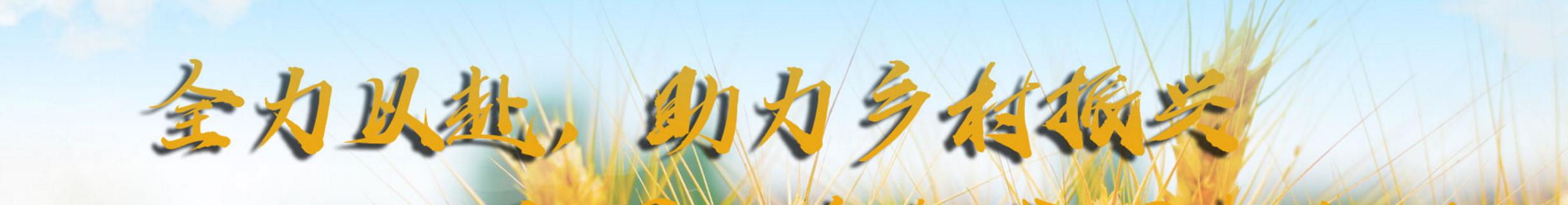 中國社會(huì )扶貧網(wǎng):全力以赴 助力鄉村振興